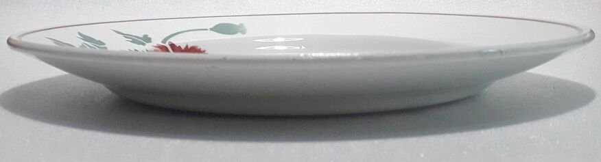 6 assiettes plates Luxeuil HBCM MONTEREAU FRANCE fleurs et feuillages