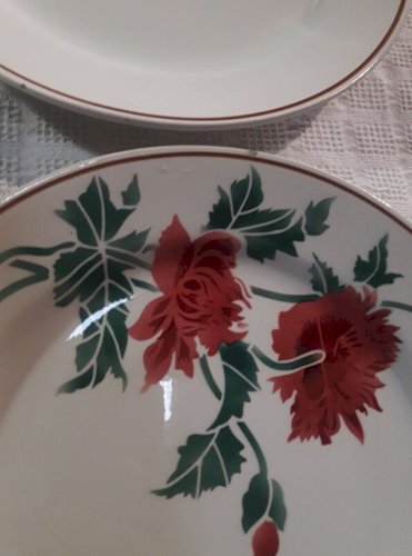 6 assiettes plates Luxeuil HBCM MONTEREAU FRANCE fleurs et feuillages
