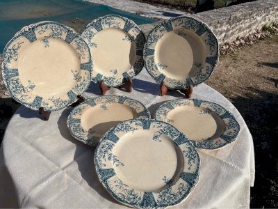 6 flat plates Rugen W.a.a & Co model Ivory