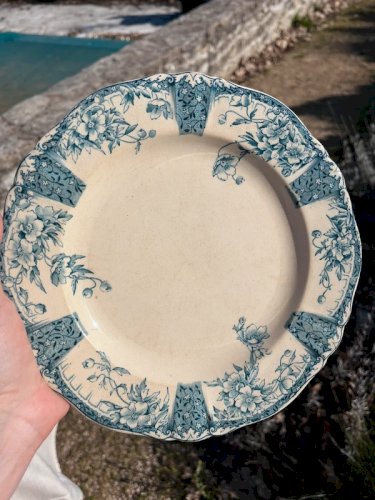 6 assiettes plates Rugen W.a.a &Co modèle Ivory