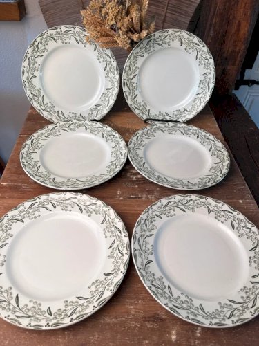 6 assiettes plates Saint-Amand et Hamage modèle Mimosas