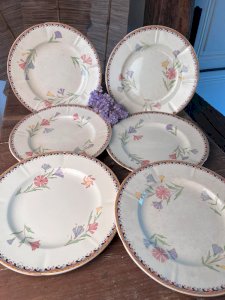 6 assiettes plates U&C Sarreguemines modèle Diogène