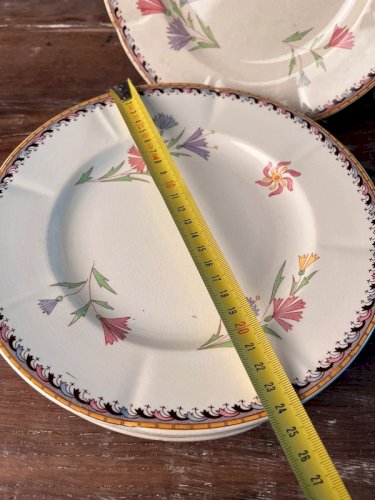 6 assiettes plates U&C Sarreguemines modèle Diogène