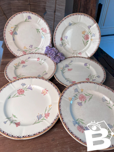 6 assiettes plates U&C Sarreguemines modèle Diogène
