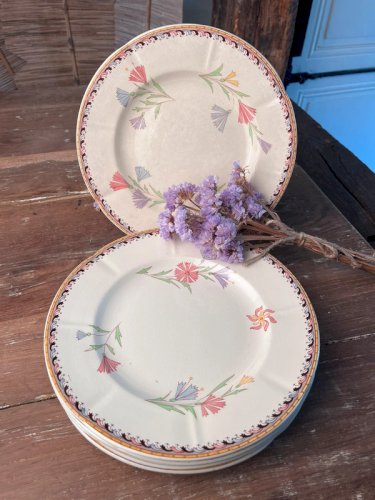 6 assiettes plates U&C Sarreguemines modèle Diogène