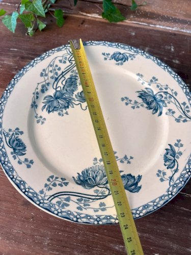 6 assiettes plates U&C Sarreguemines modèle Royat
