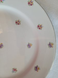 6 vintage flat plates from Digoin Sarreguemines with floral decoration