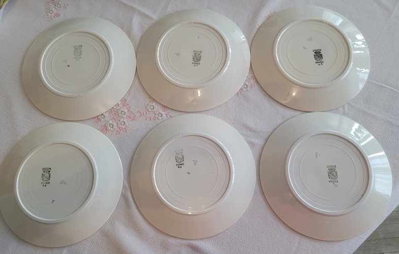 6 assiettes plates vintage de Digoin Sarreguemines décor floral