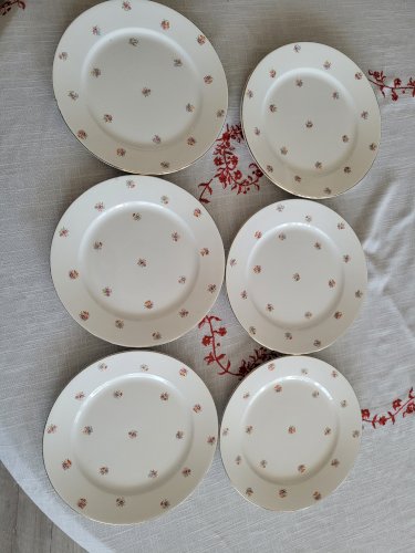 6 assiettes plates vintage de Digoin Sarreguemines décor floral