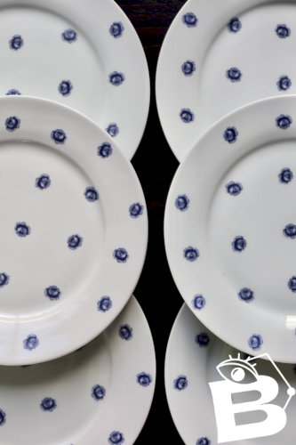 6 assiettes plates vintage en porcelaine blanche à roses bleues