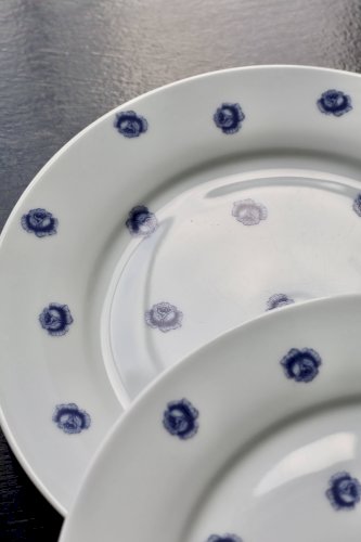 6 assiettes plates vintage en porcelaine blanche à roses bleues