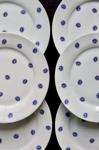 6 assiettes plates vintage en porcelaine blanche à roses bleues