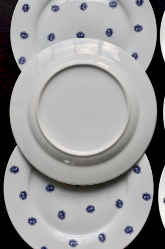6 assiettes plates vintage en porcelaine blanche à roses bleues