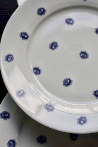 6 assiettes plates vintage en porcelaine blanche à roses bleues