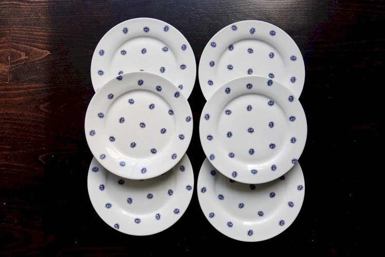 6 assiettes plates vintage en porcelaine blanche à roses bleues