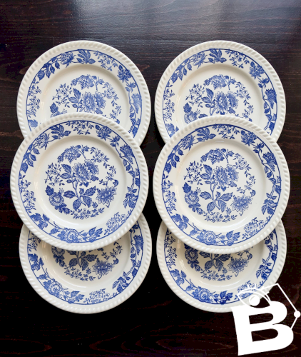6 assiettes plates vintage en porcelaine blanche motif fleuri bleu