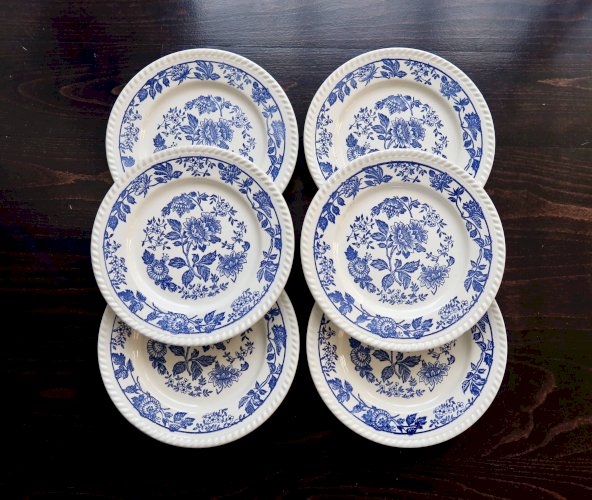 6 assiettes plates vintage en porcelaine blanche motif fleuri bleu