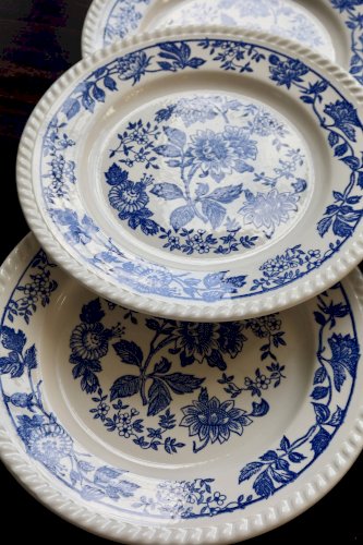 6 assiettes plates vintage en porcelaine blanche motif fleuri bleu