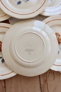 dot