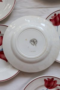 dot