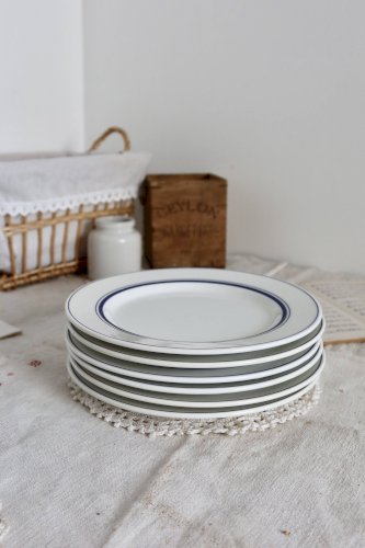 6 assiettes plates vintage style bistrot en porcelaine bleue et blanche