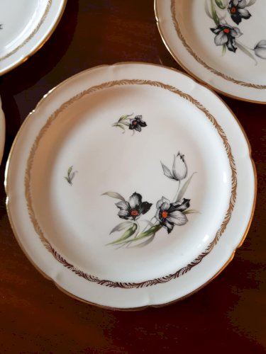 6 assiettes plates