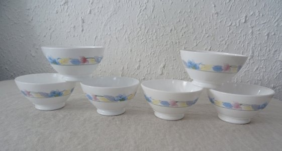  6 FLOWER BOWLS 910323 ARCOPAL