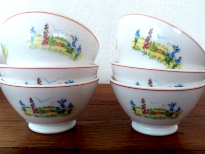  6 BOLS flowers bellflowers country landscape 4464 ARCOPAL