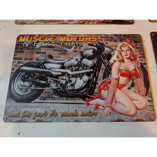 6 Plaques Tole Publicité  Pin Up 