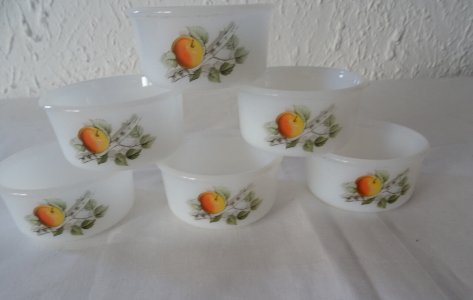  6 RAMEQUINS 485112 POMME FRUITS DE FRANCE   ARCOPAL