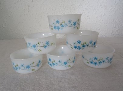  6 RAMEQUINS blue flowers veronica ARCOPAL 61423