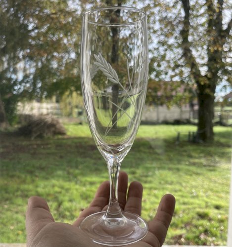 6 verre à pied flute à champagne 17cl LUMINARC / ARC épis gerbe de blé