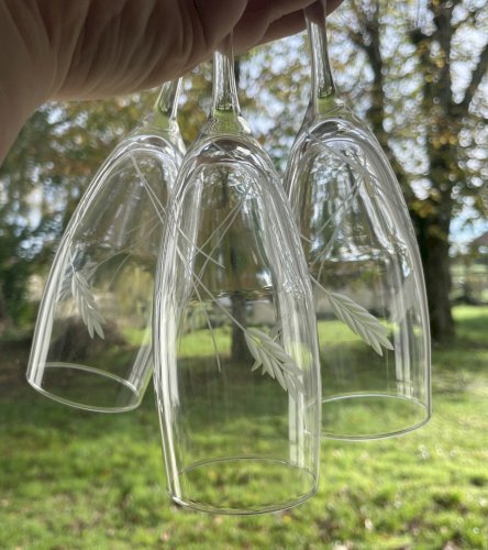 6 verre à pied flute à champagne 17cl LUMINARC / ARC épis gerbe de blé