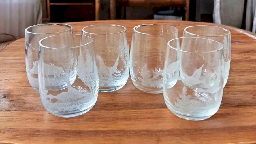 6 Verre Ancien décor chasse cerf faisan biche sanglier canard old hunting glass