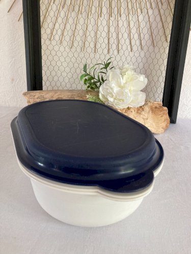 625⚜️ Plat Multi Service Tupperware Boite Ovale Passoire Longueur 29 Cm