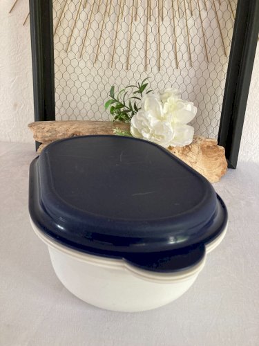 625⚜️ Plat Multi Service Tupperware Boite Ovale Passoire Longueur 29 Cm