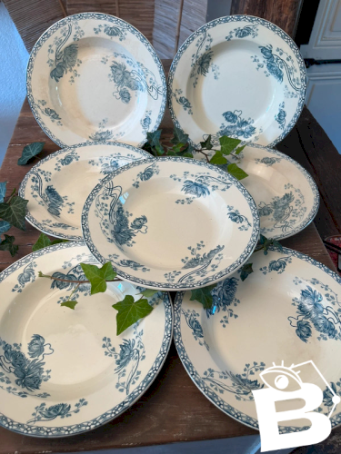 7 assiettes creuses U&C Sarreguemines modèle Royat