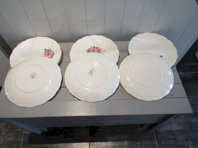 7 Assiettes plates en porcelaine décor fleurs l'amandinoise vintage