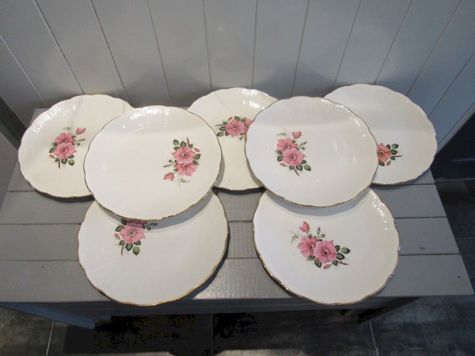 7 Assiettes plates en porcelaine décor fleurs l'amandinoise vintage