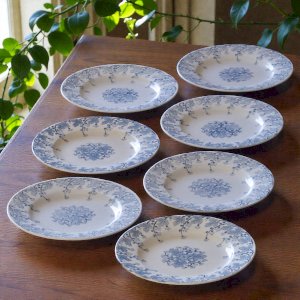 7 plates from the 19th century, ironstone, signed KG Lunéville, Neva collection.