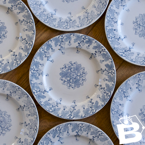 7 assiettes XIXe terre de fer signées KG Lunéville collection Neva