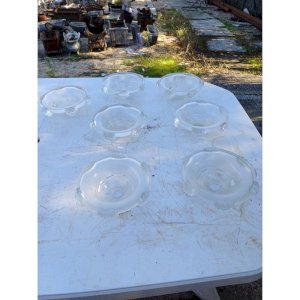 7 Transparent and Opaline Glass Tulips