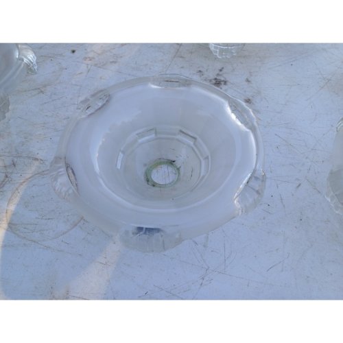 7 Tulipes en verre transparent et Opalin