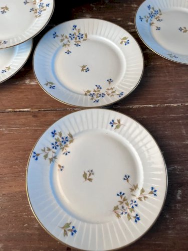 8 assiettes à dessert en porcelaine décor au barbeau