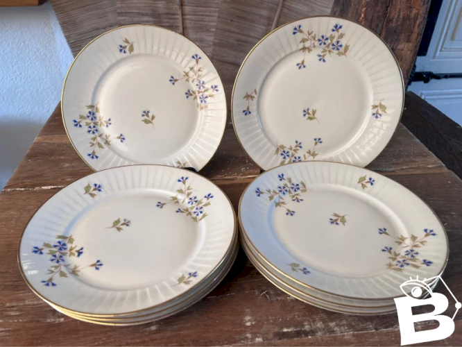 8 assiettes à dessert en porcelaine décor au barbeau