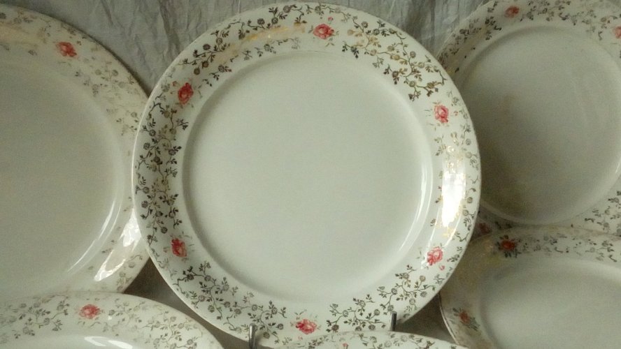 8 ASSIETTES PLATES EN FAIENCE VILLEROY BOCH METTLACH FRANCE-SAAR*