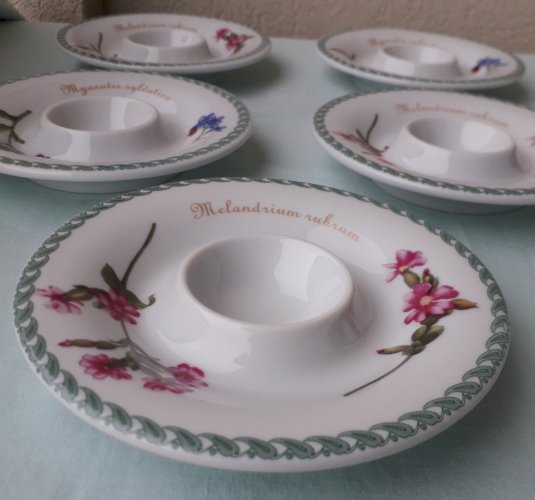 8 coquetiers en porcelaine