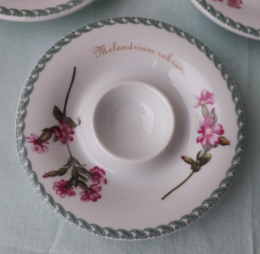 8 coquetiers en porcelaine