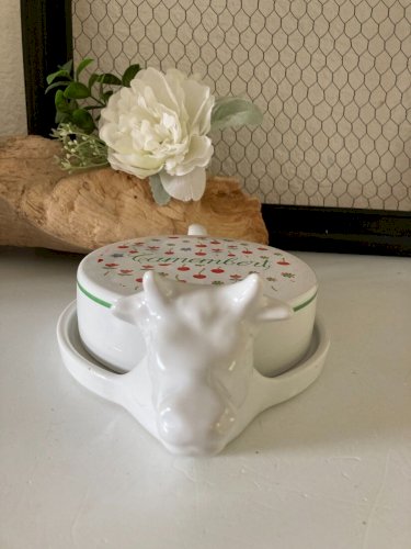 824⚜️ Plat Cloche à Fromage Camembert Kitchenette en Porcelaine Française