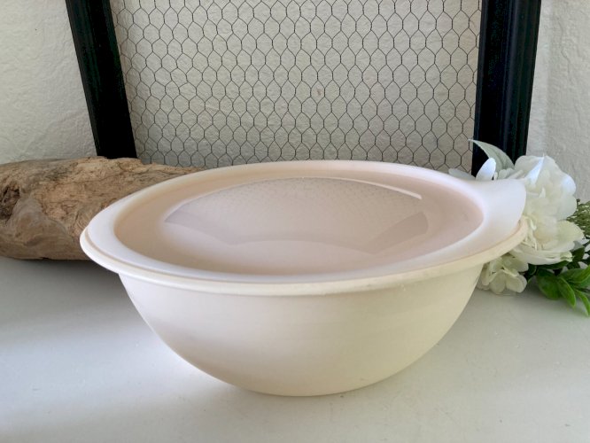824⚜️ Tupperware Plat de Service Soupière Oval en Plastique